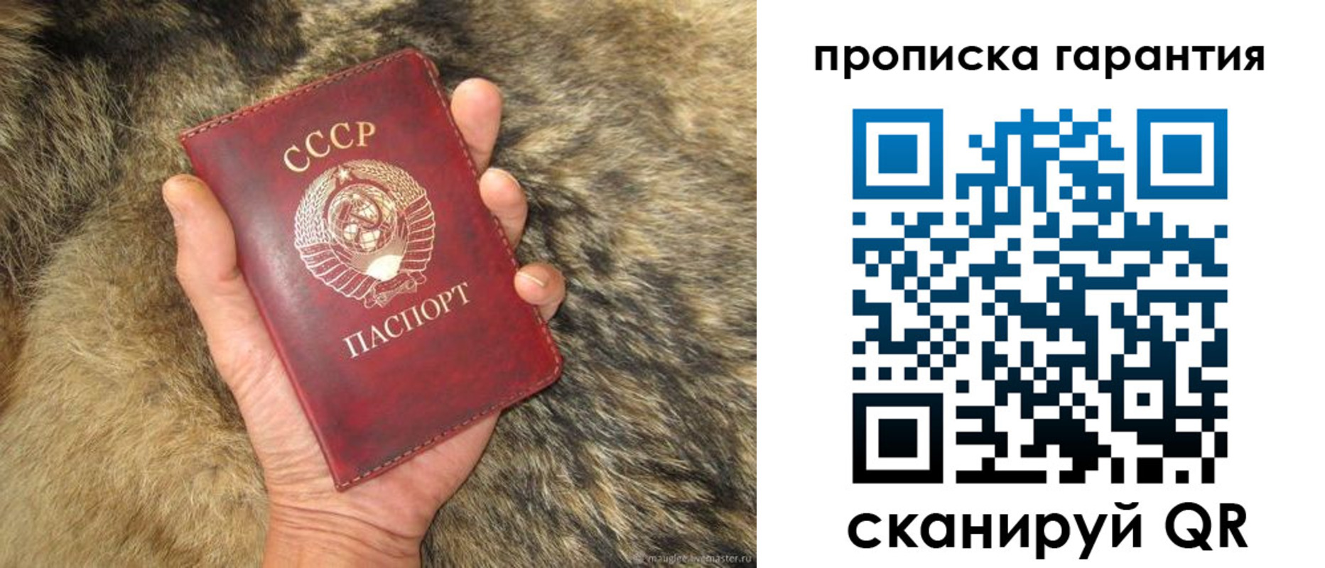 временная регистрация гарантия в Всеволожске